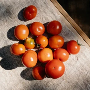 fresh organic tomato