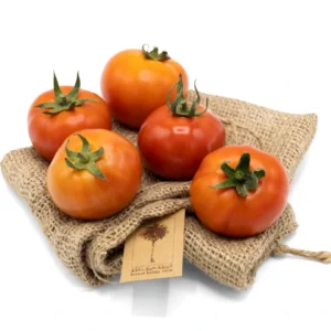 Fresh organic Qatari Tomatoes grown and harvested by our farmers at Heenat Salma
