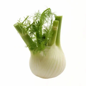 organic fennel bulb