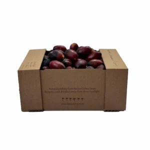 organic Khanezi Rutab dates