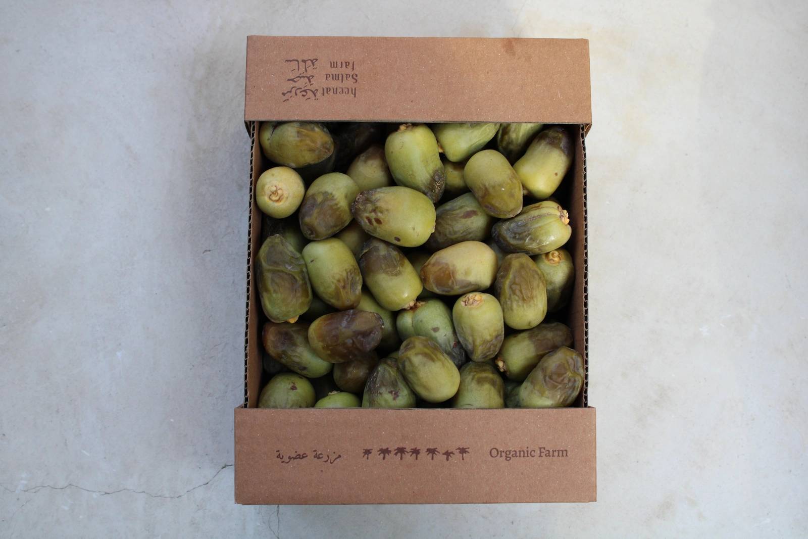 Fresh Organic Shishi Rutab Dates - 1 kg