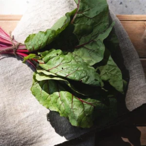 Fresh Organic Swiss Chard