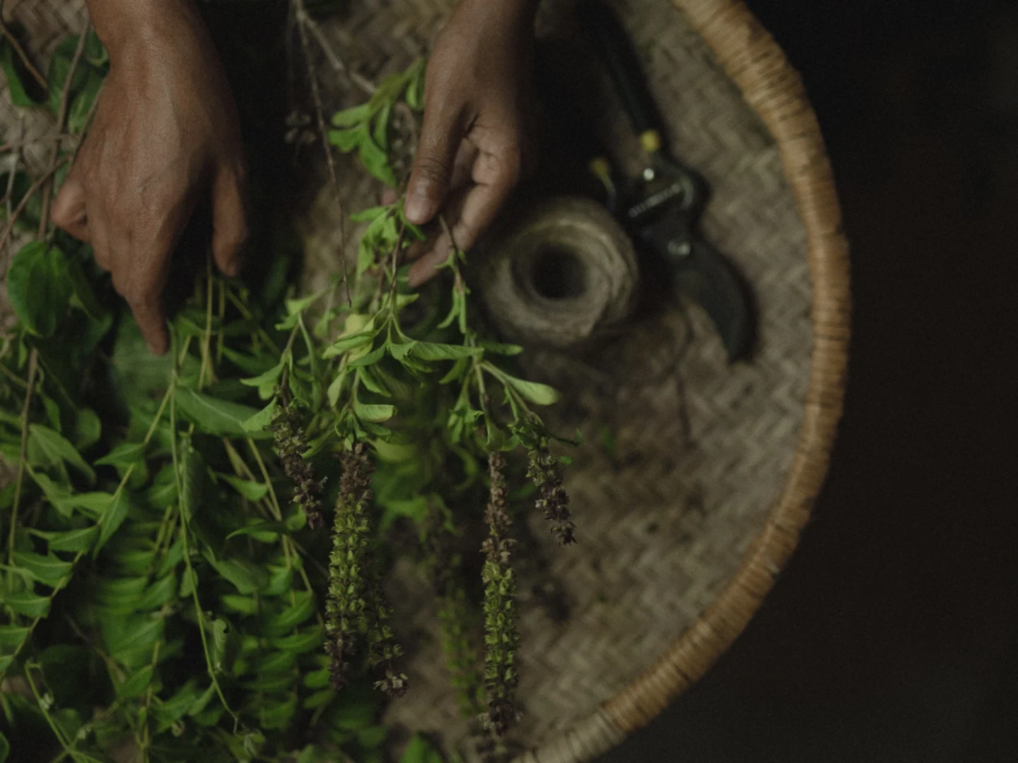 Herbal Bundle Making at heenat salma farm