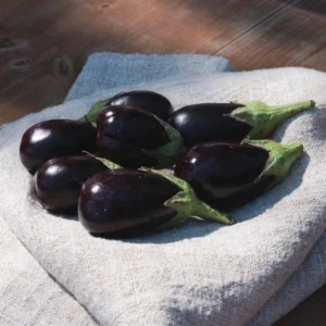 Fresh Organic Eggplant