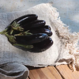 Fresh Organic Eggplant