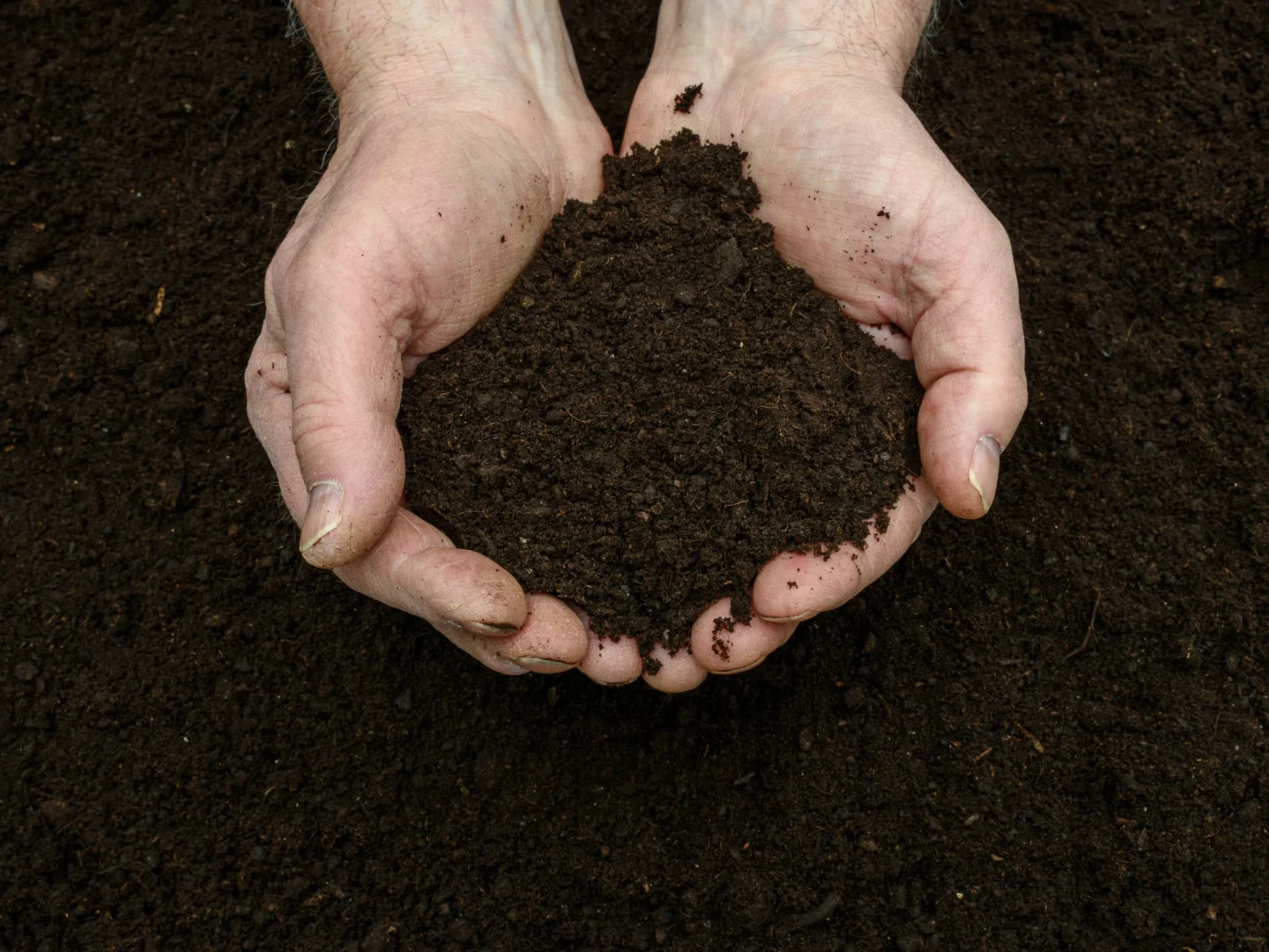 compost class