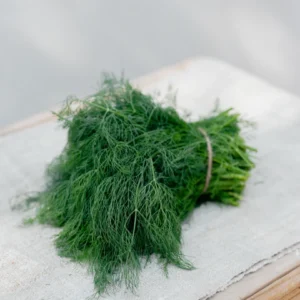 fresh organic dill leaves