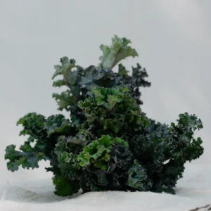 fresh organic kale