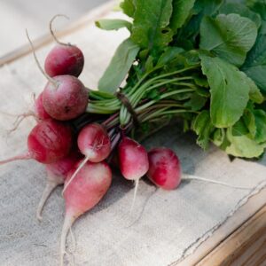 radish