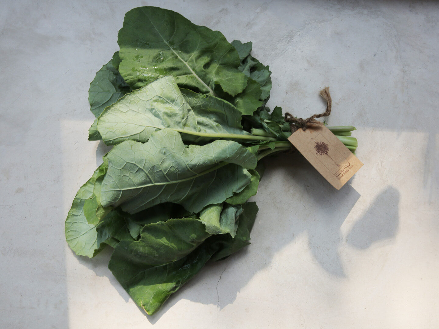 Fresh Organic Collard