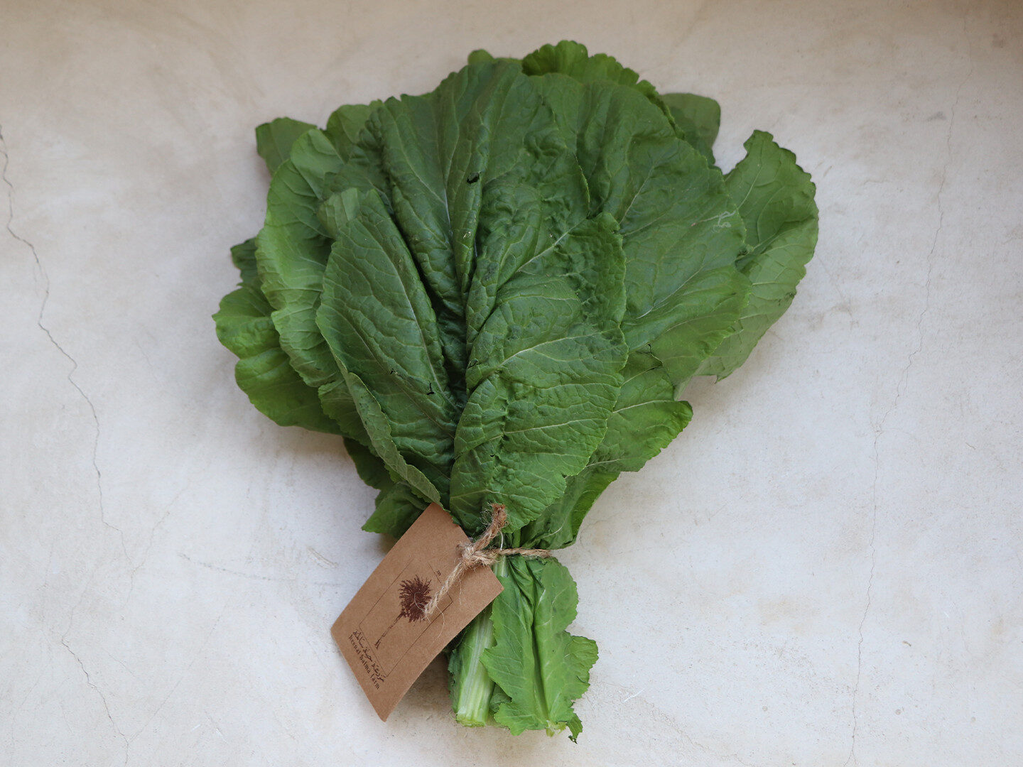 Fresh Organic Mustard Leaf 250gm