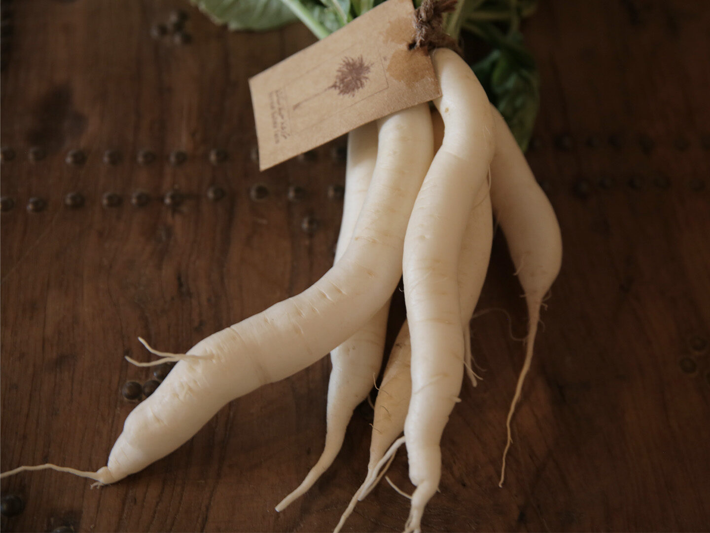 fresh-organic-radish 1 (1)