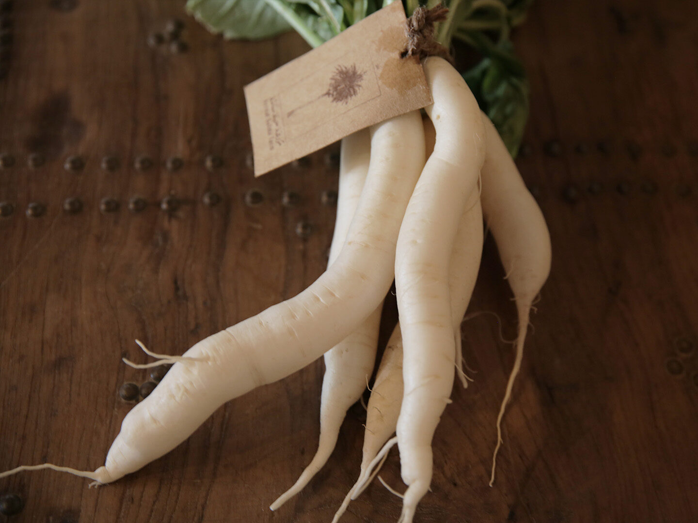 fresh-organic-radish 1 (3)