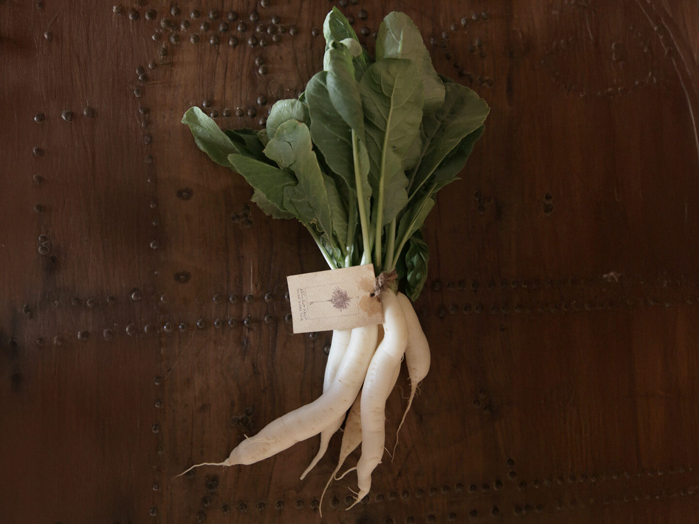 fresh-organic-radish 2