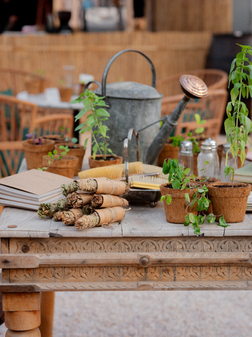 National Day Qatar (5)