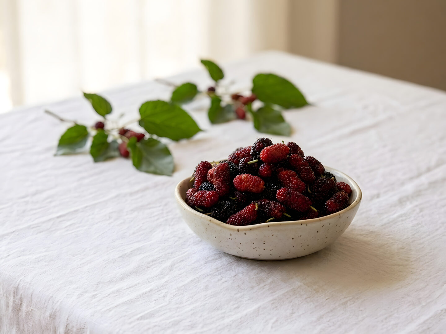 mulberry HSF updated