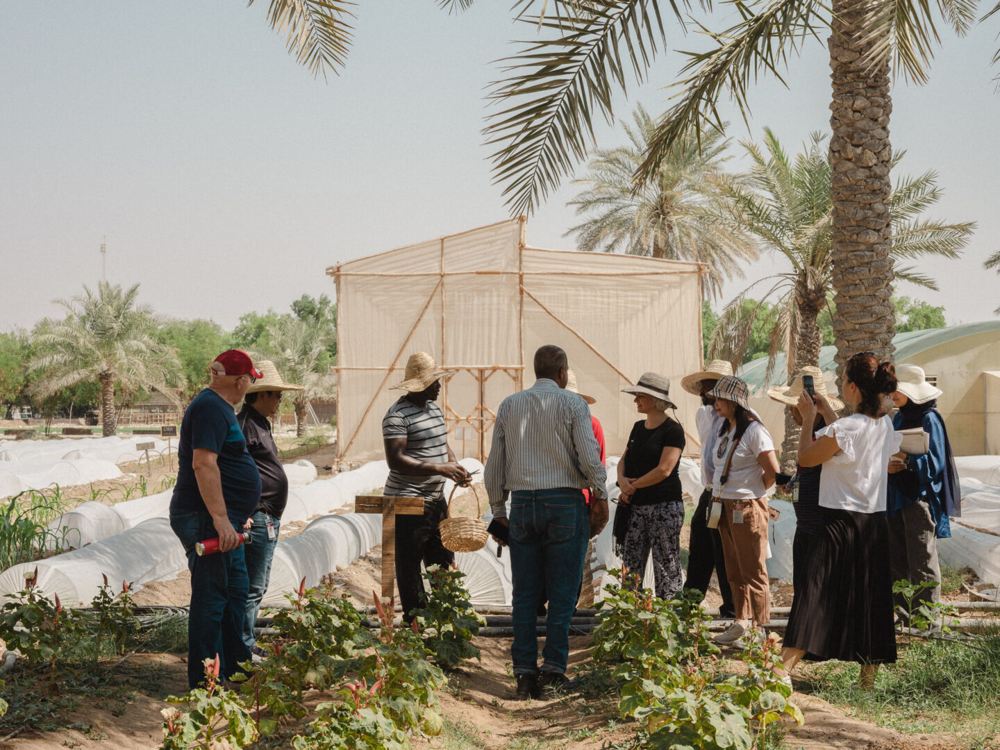 A group gathered in the growing beds on a farm walk