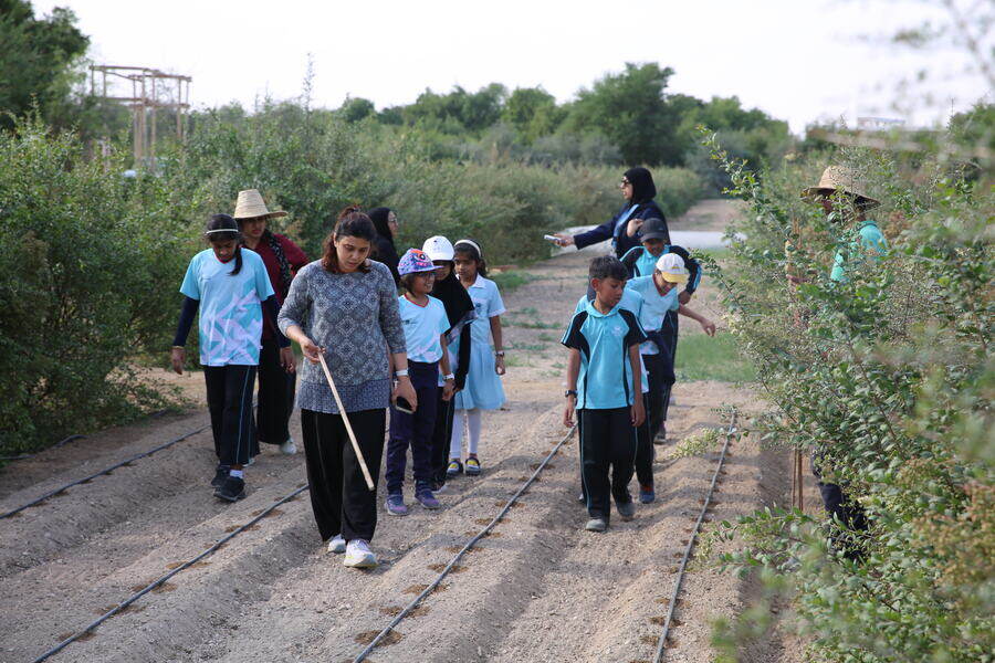 Students and coordinators walking the allotment paths at Heenat Salma Farm