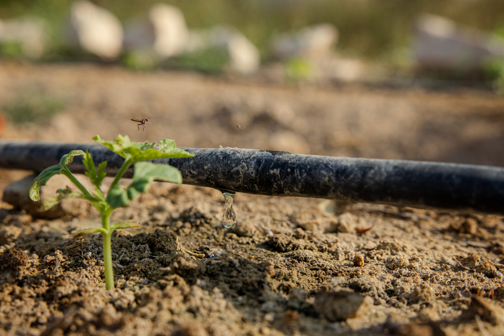 Water running through the farm irrigation system
