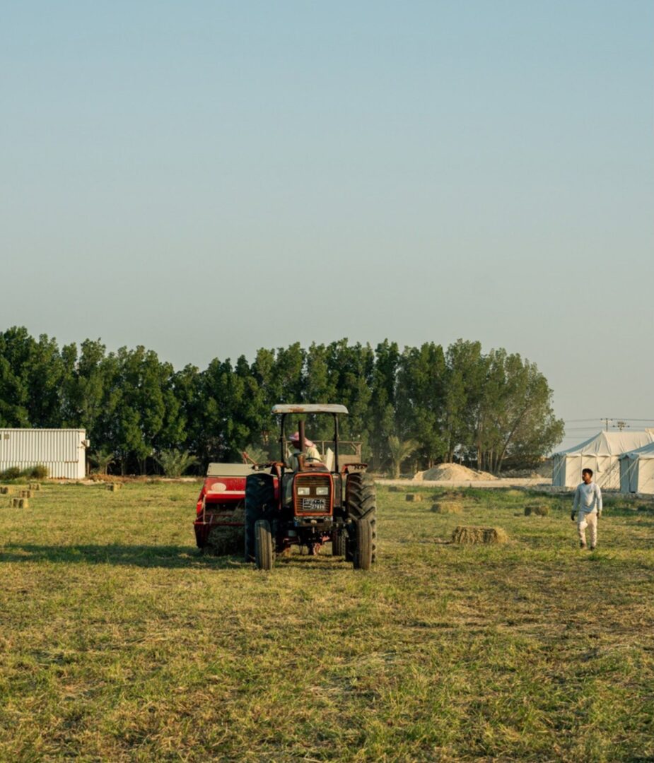 A red tractor crossing a green field at Heenat Salma Farm in Al Shahaniya