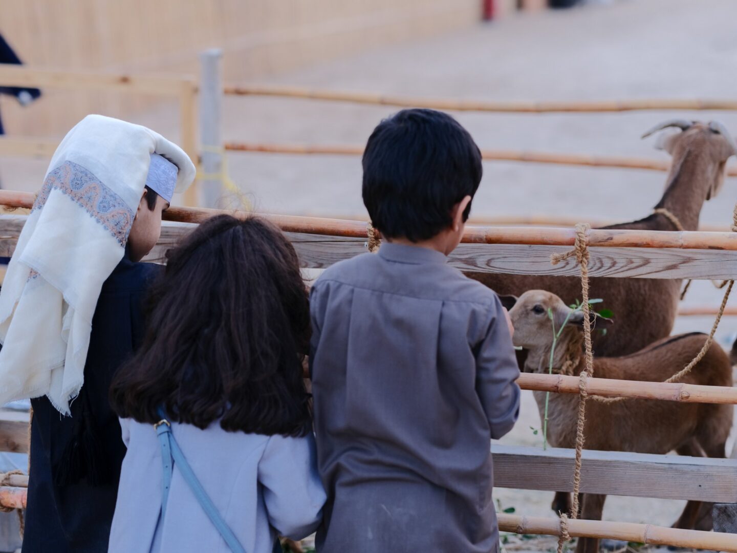A family watching the goats at the farm pen