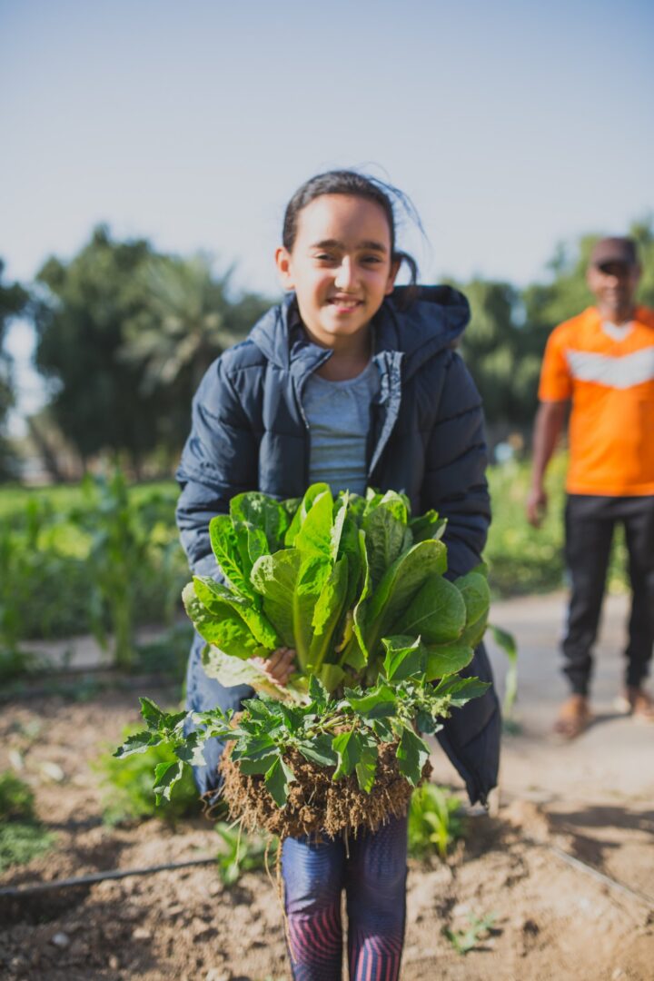 A girl holding freshly harvested leafy greens in the field