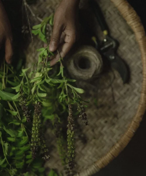 Herbal Bundle Making at heenat salma farm