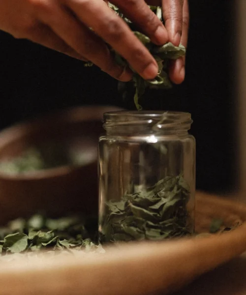 Infused Oil Making at heenat salma farm